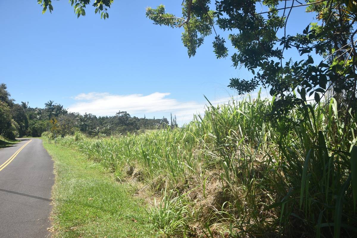 Lot A Kalopa Road Honokaa, HI 96727 - Photo 12 of 15 Gallery Image 12