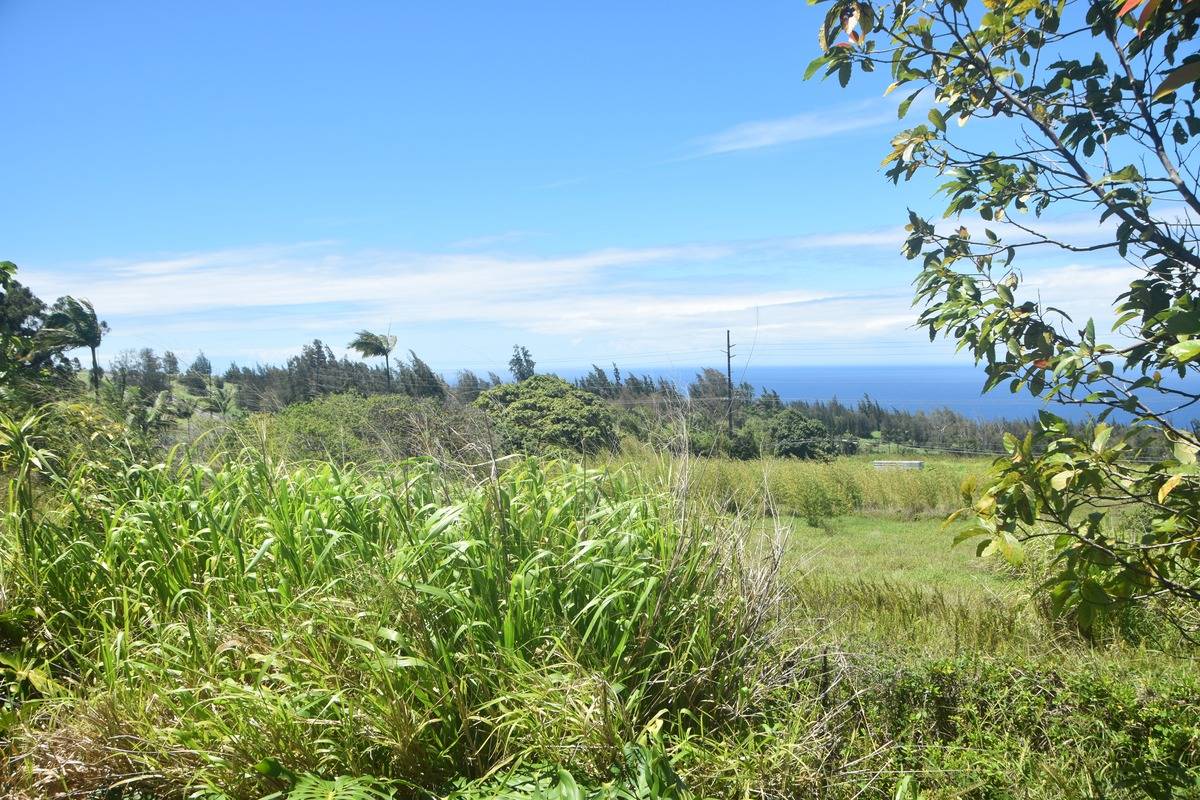 Lot A Kalopa Road Honokaa, HI 96727 - Photo 14 of 15 Gallery Image 14