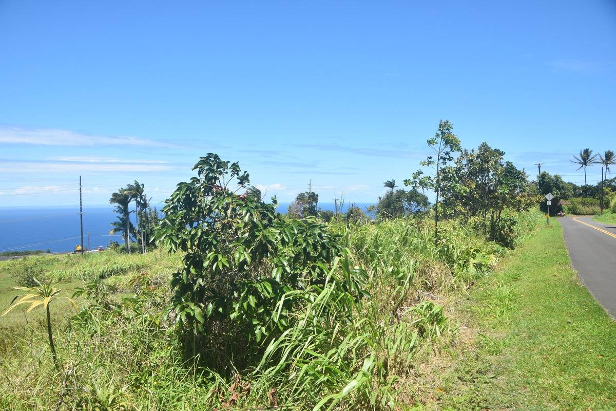Lot A Kalopa Road Honokaa, HI 96727 - Photo 15 of 15 Gallery Image 15
