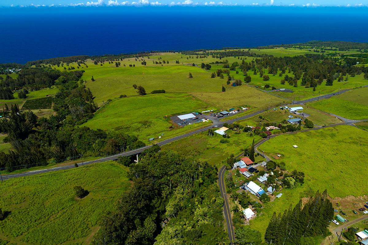 Lot A Kalopa Road Honokaa, HI 96727 - Photo 6 of 15 Gallery Image 6