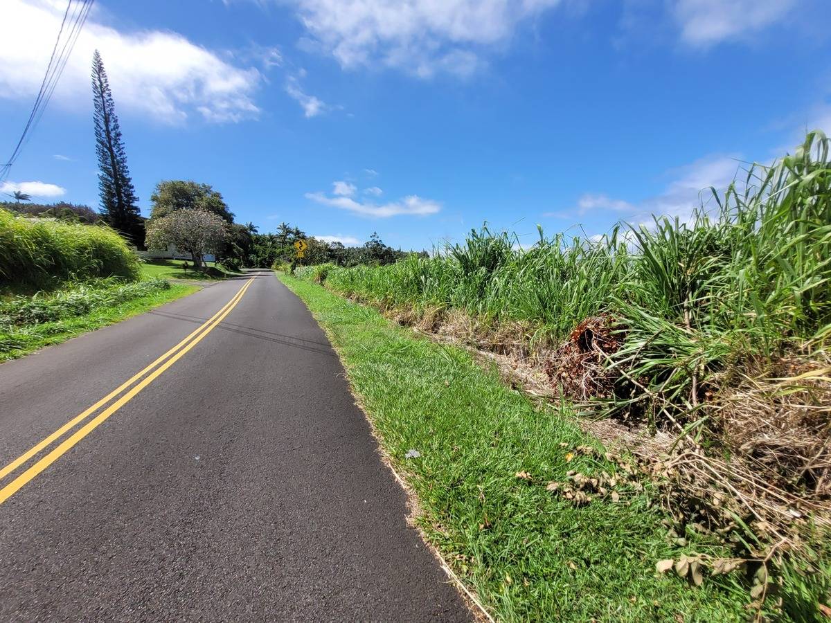 Lot A Kalopa Road Honokaa, HI 96727 - Photo 7 of 15 Gallery Image 7