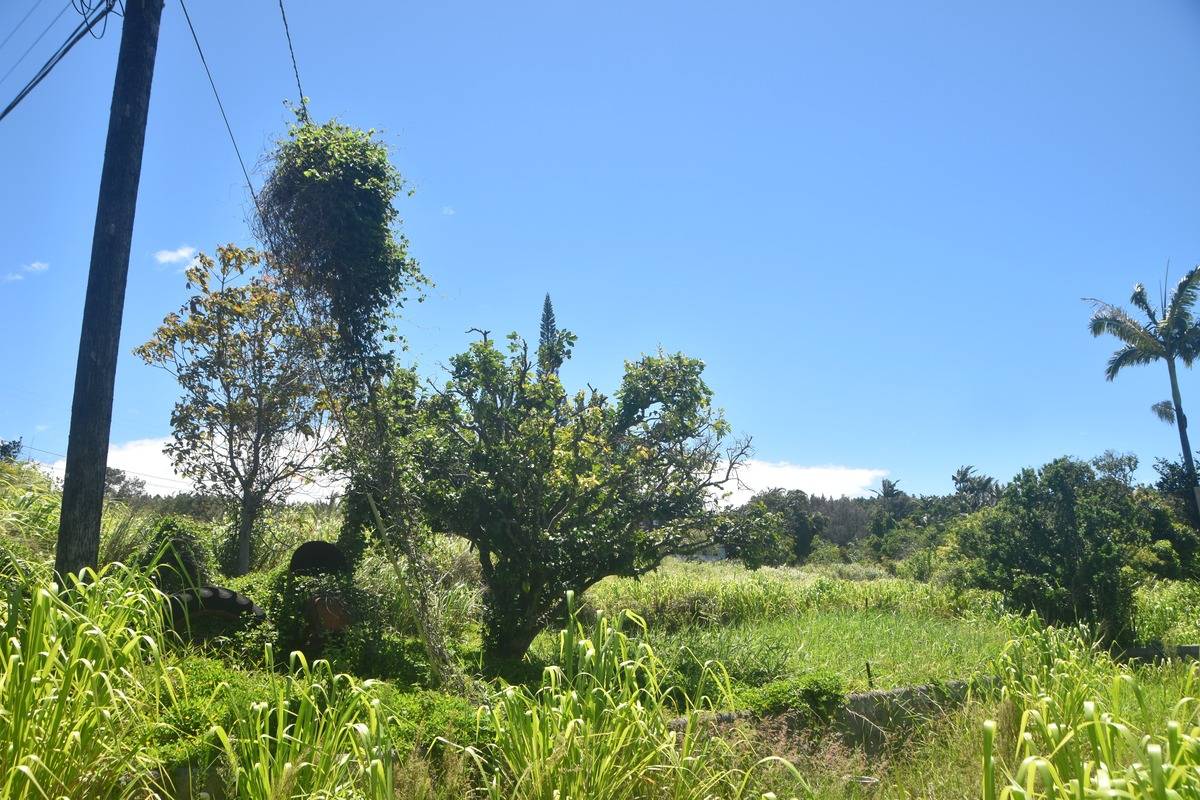 Lot A Kalopa Road Honokaa, HI 96727 - Photo 8 of 15 Gallery Image 8