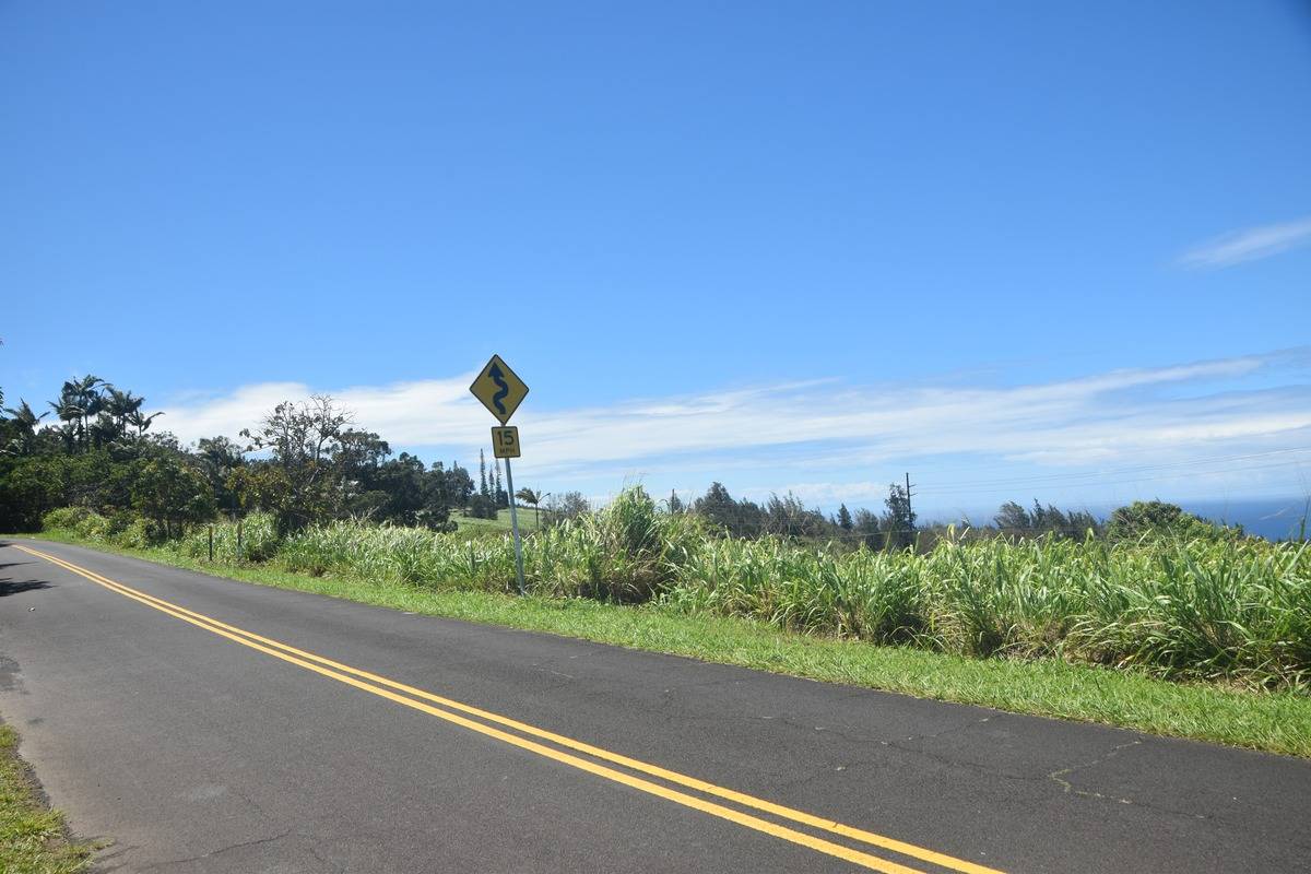 Lot A Kalopa Road Honokaa, HI 96727 - Photo 10 of 15 Gallery Image 10