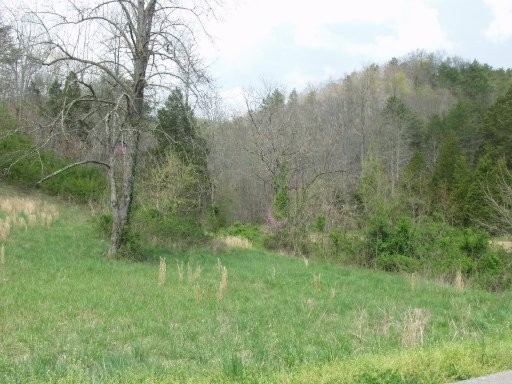0 Black Fox Road Washburn, TN 37888 - Photo 18 of 25 Gallery Image 18