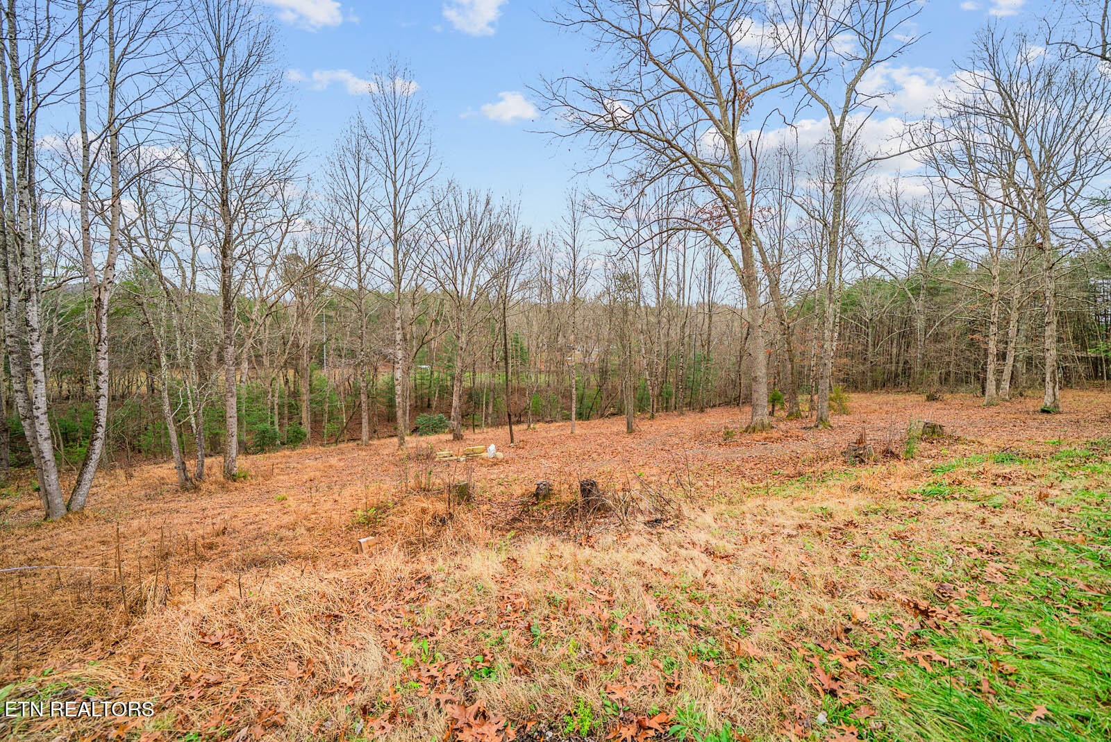 64 Pugh Road Crossville, TN 38555 - Photo 53 of 60 Gallery Image 53