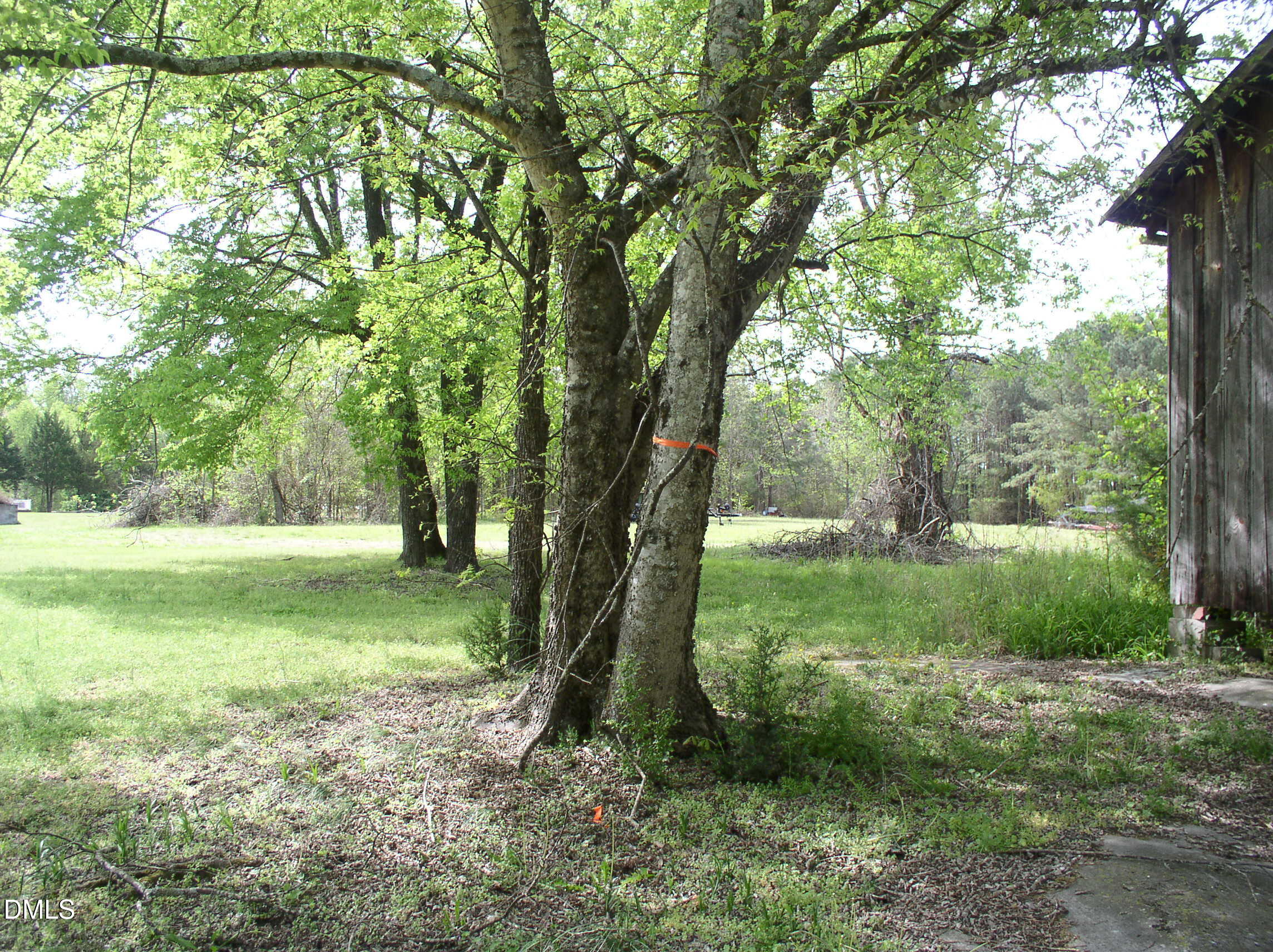 0 Cedar Cove Road Henderson, NC 27537 - Photo 13 of 30 P1010024