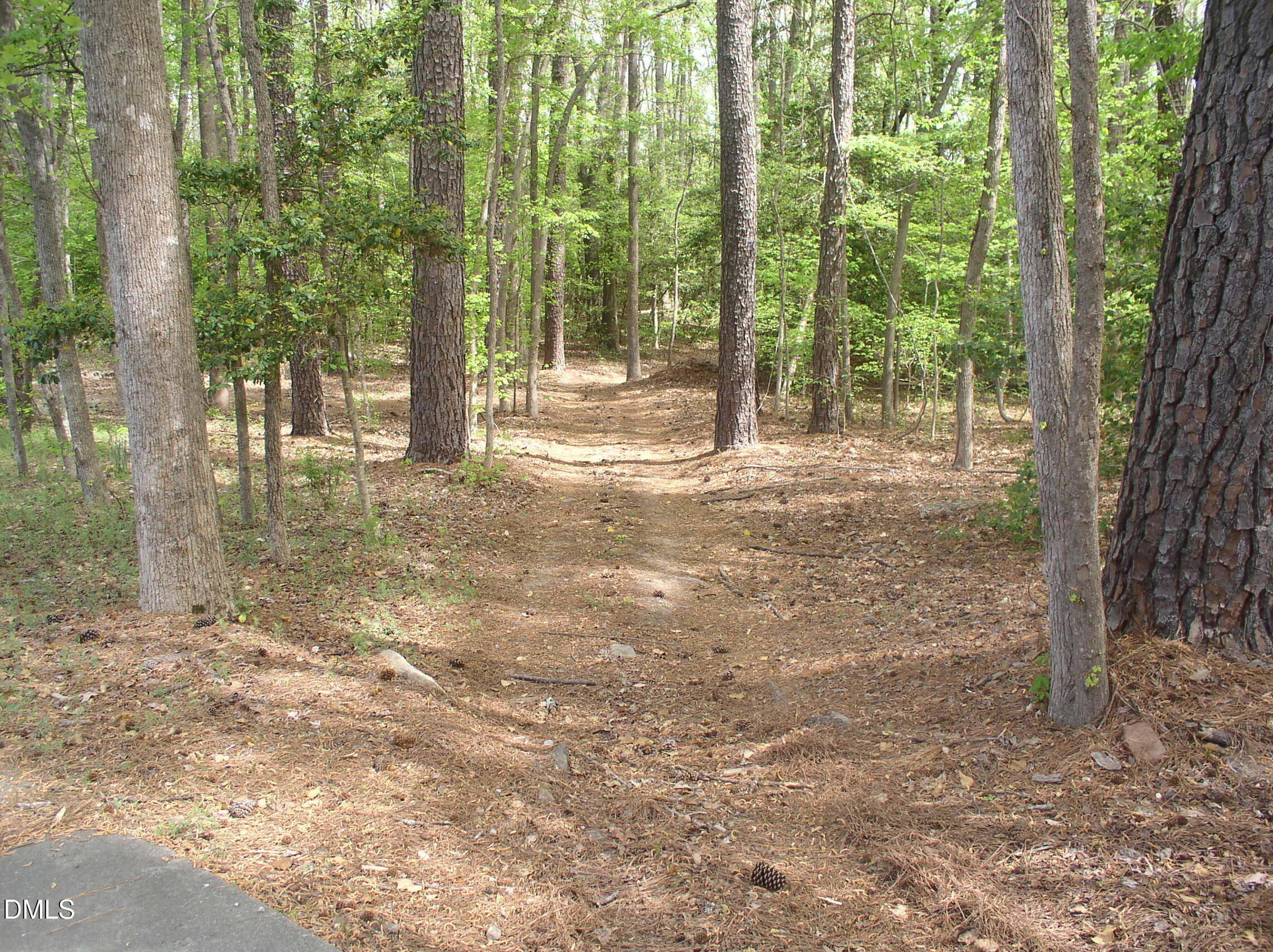 0 Cedar Cove Road Henderson, NC 27537 - Photo 6 of 30 P1010009