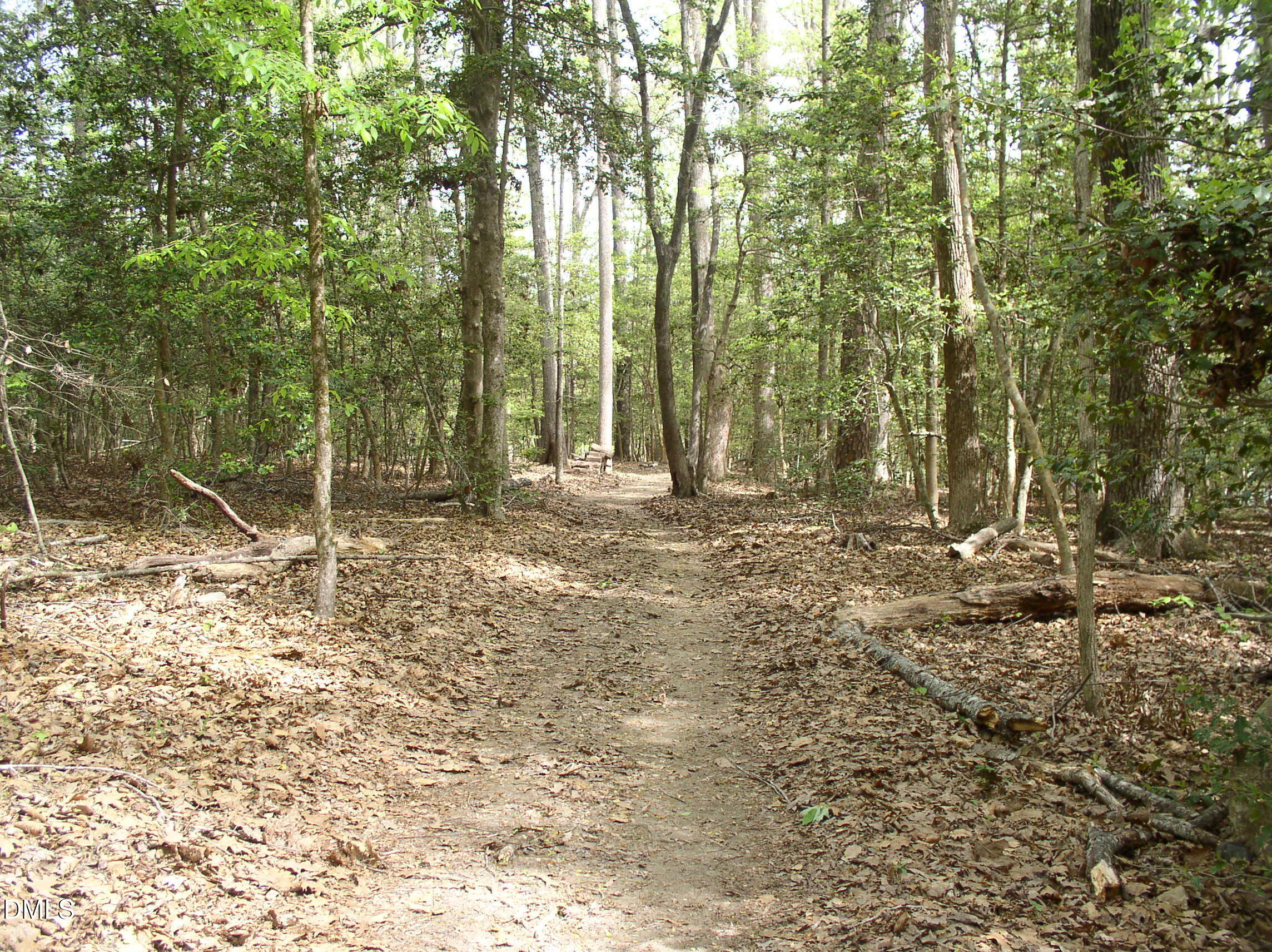 0 Cedar Cove Road Henderson, NC 27537 - Photo 7 of 30 P1010010