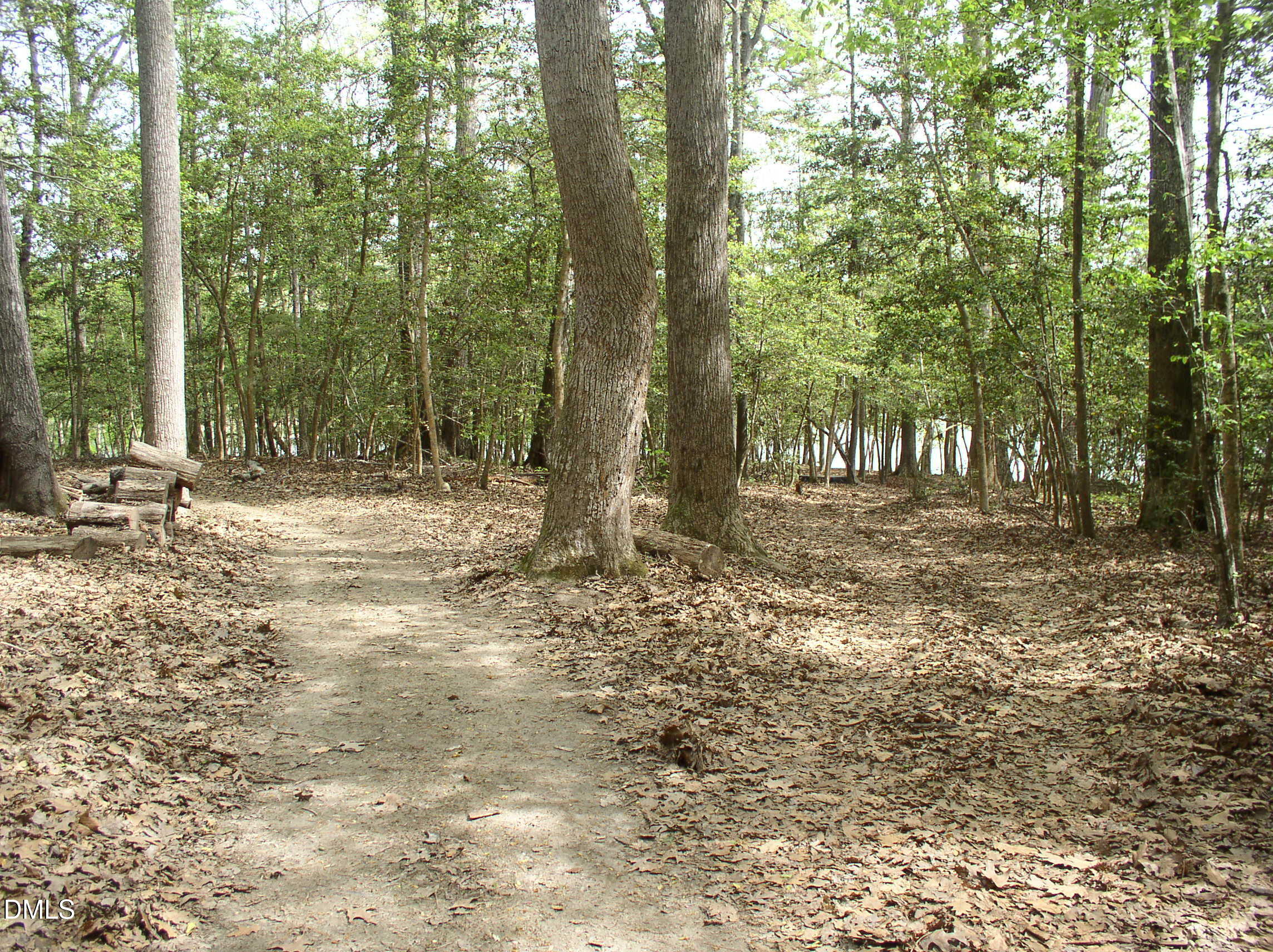 0 Cedar Cove Road Henderson, NC 27537 - Photo 8 of 30 P1010011