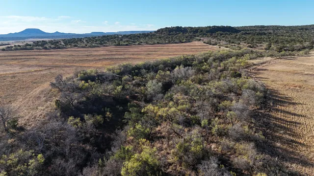 $395,000 | 590 Farm To Market Road 1065, Flomot, TX 79234