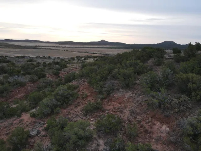 $395,000 | 590 Farm To Market Road 1065, Flomot, TX 79234