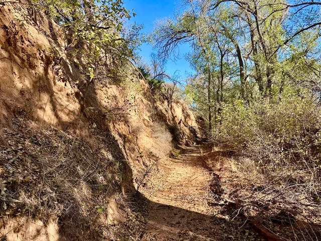 $395,000 | 590 Farm To Market Road 1065, Flomot, TX 79234