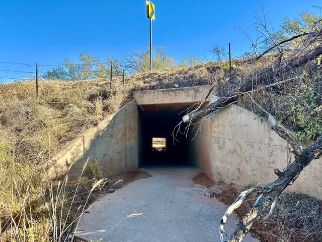 $395,000 | 590 Farm To Market Road 1065, Flomot, TX 79234