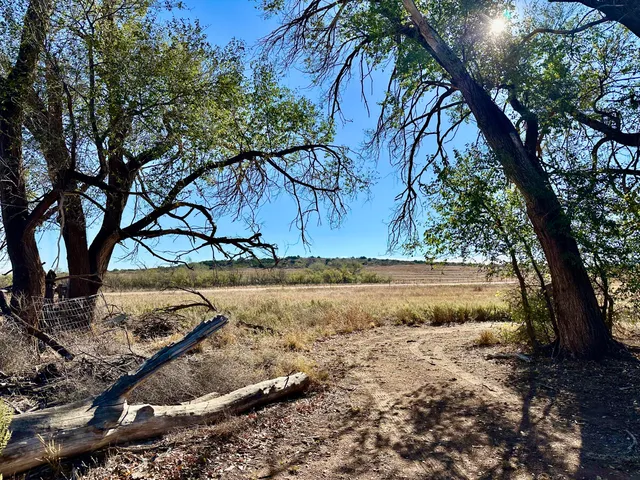 $395,000 | 590 Farm To Market Road 1065, Flomot, TX 79234