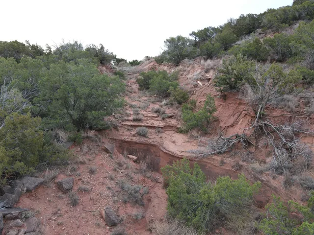 $395,000 | 590 Farm To Market Road 1065, Flomot, TX 79234