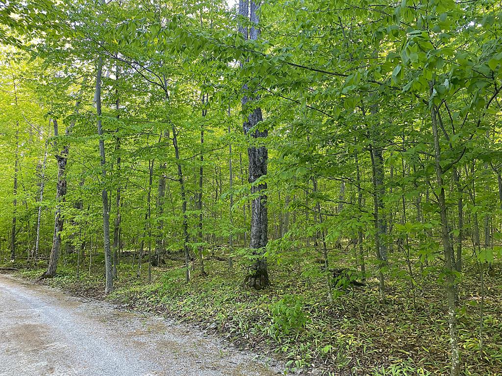Tbd Garrett Bay Road Ellison Bay, WI 54210 - Photo 12 of 16