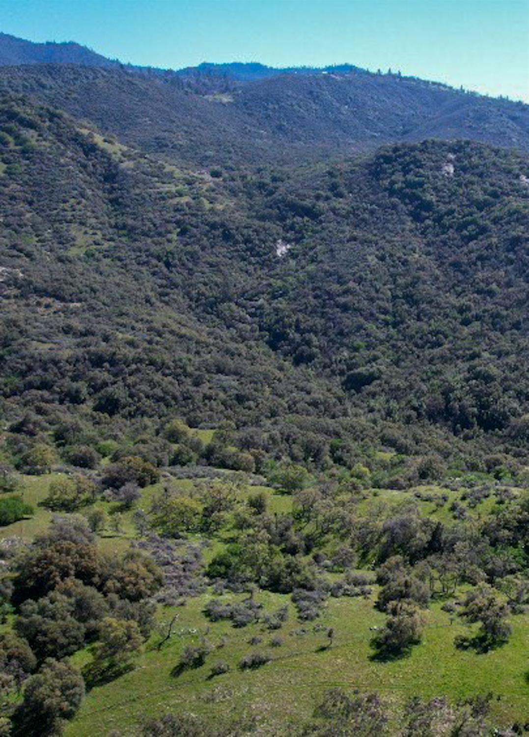 44981 Todd Eymann Road Dunlap, CA 93621 - Photo 27 of 74 Gallery Image 27