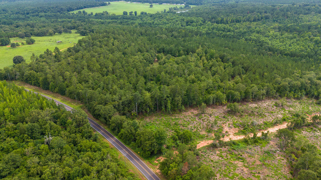 4775 Fulcher Road Hephzibah, GA 30815 - Photo 1 of 12 DJI_20240724162156_0128_D