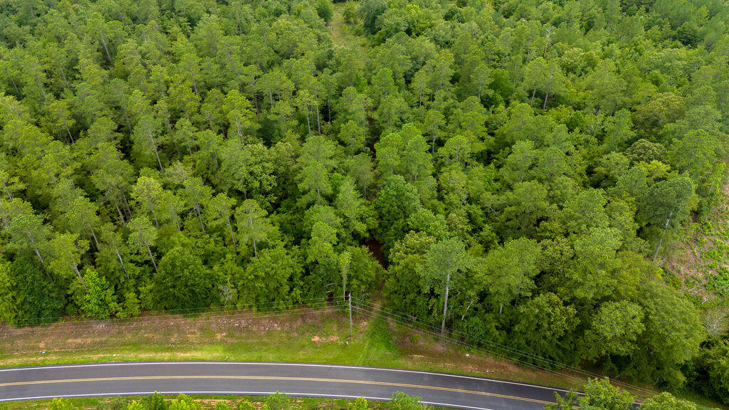 4775 Fulcher Road Hephzibah, GA 30815 - Photo 12 of 12 DJI_20240724162955_0137_D
