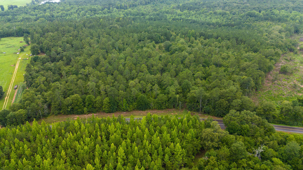 4775 Fulcher Road Hephzibah, GA 30815 - Photo 3 of 12 DJI_20240724160626_0108_D