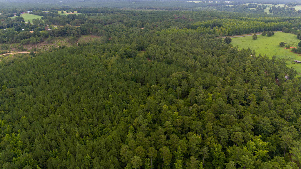 4775 Fulcher Road Hephzibah, GA 30815 - Photo 5 of 12 DJI_20240724160955_0117_D
