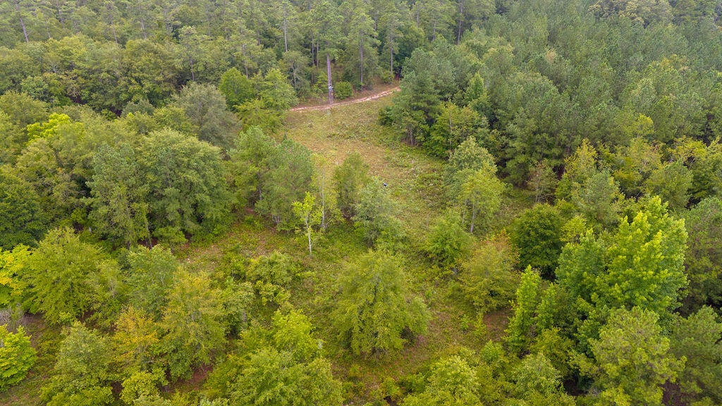 4775 Fulcher Road Hephzibah, GA 30815 - Photo 6 of 12 DJI_20240724161133_0120_D