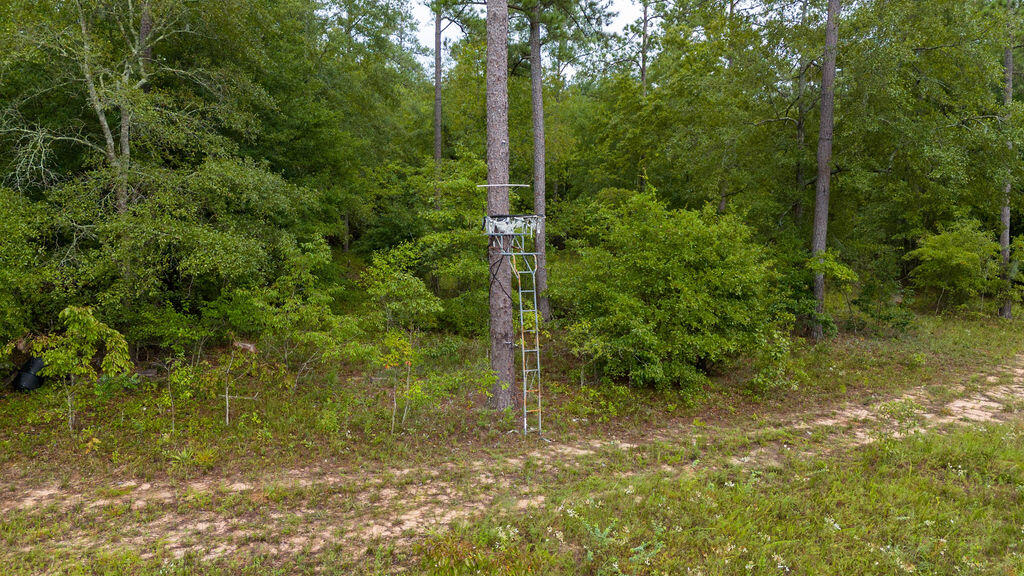 4775 Fulcher Road Hephzibah, GA 30815 - Photo 9 of 12 DJI_20240724161217_0123_D