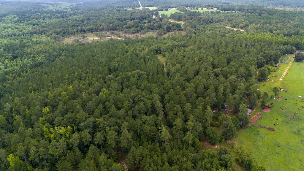4775 Fulcher Road Hephzibah, GA 30815 - Photo 10 of 12 DJI_20240724162350_0132_D