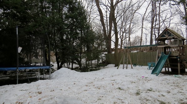 91 Channing Road Belmont, MA 02478 - Photo 20 of 21 Gallery Image 20