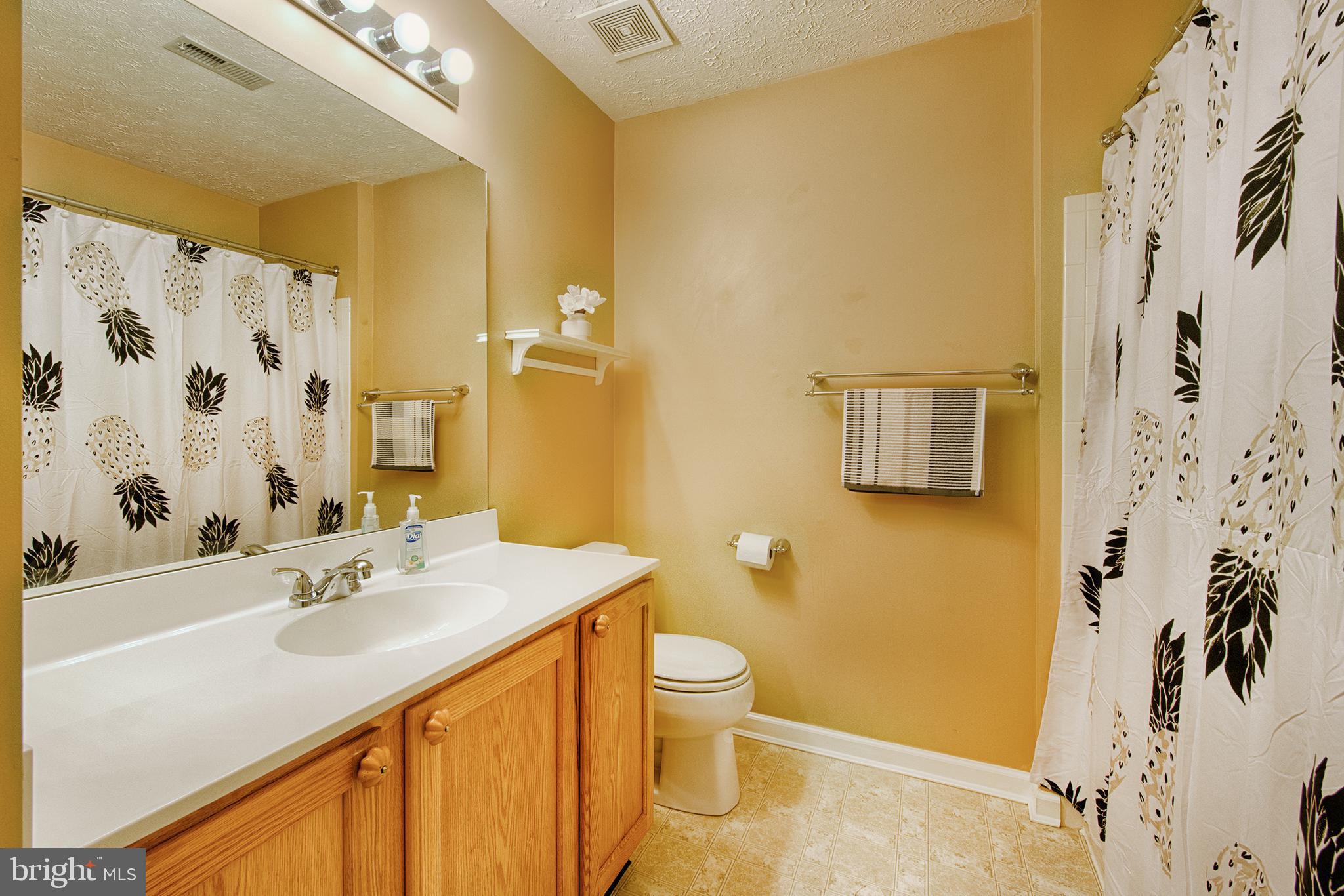 9817 Finsbury Road Baltimore, MD 21237 - Photo 27 of 36 Spacious full bath on upper level