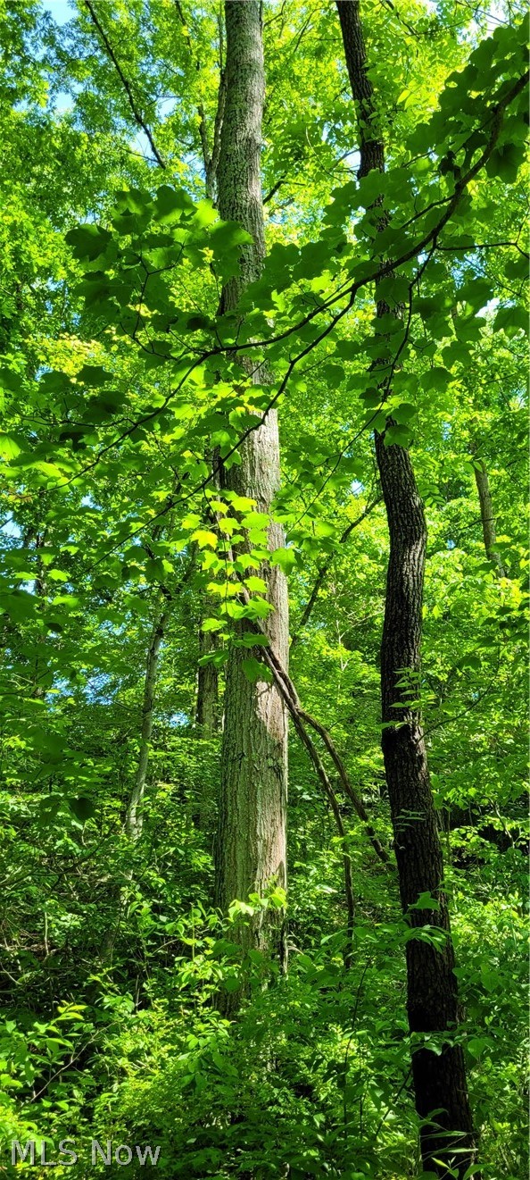 Hollis Clark Road Caldwell, OH 43724 - Photo 20 of 49