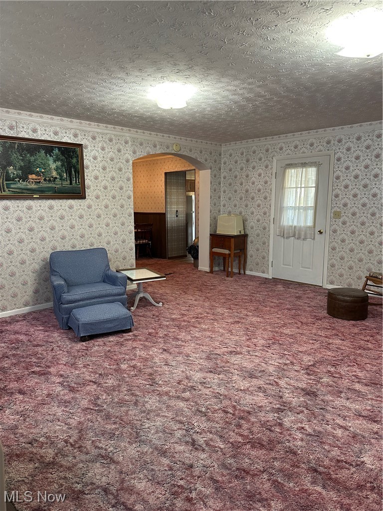 314 Devon Road Woodsfield, OH 43793 - Photo 10 of 50 Bonus Room featuring arched walkways, ornamental molding, a textured ceiling, wallpapered walls, and carpet floors