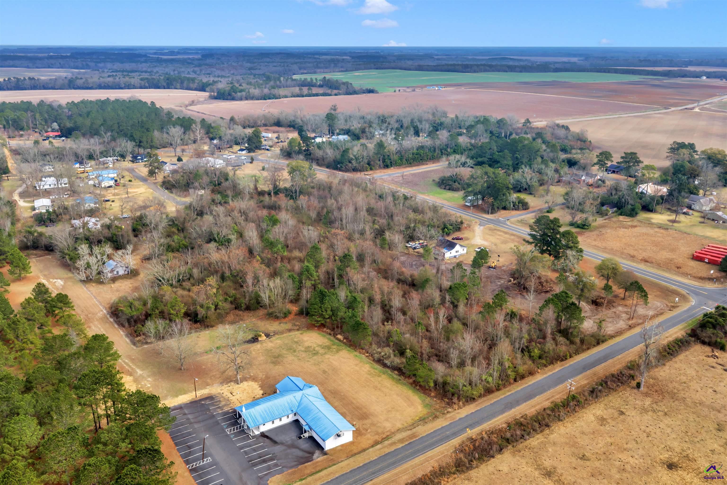 0 Mt Calvery Church Road Pineview, GA 31071 - Photo 5 of 10