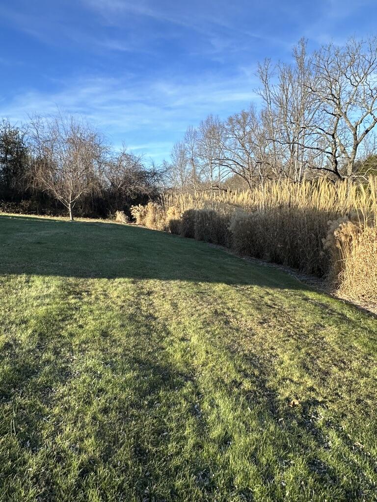 103 Cochran Road Jonesborough, TN 37659 - Photo 38 of 45 Big yard to enjoy