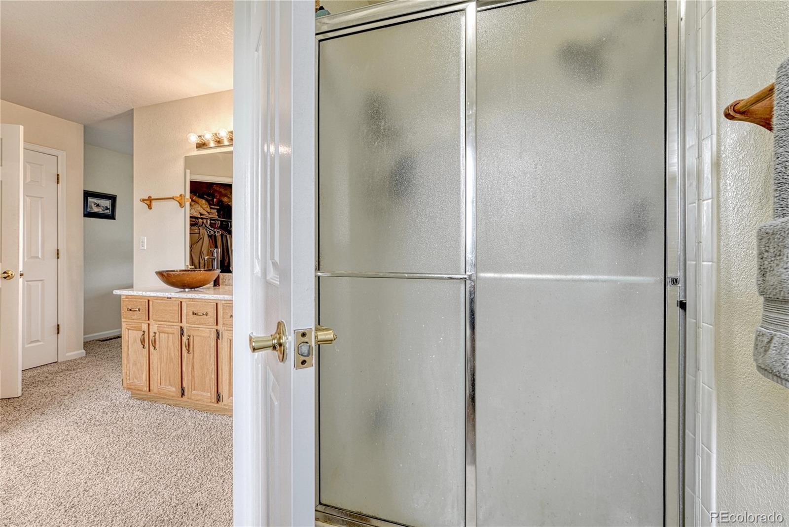 43793 Buckskin Road Parker, CO 80138 - Photo 27 of 50 a bathroom with a shower