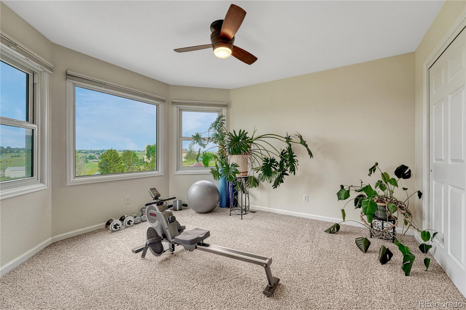 43793 Buckskin Road Parker, CO 80138 - Photo 32 of 50 a view of a room with a potted plant