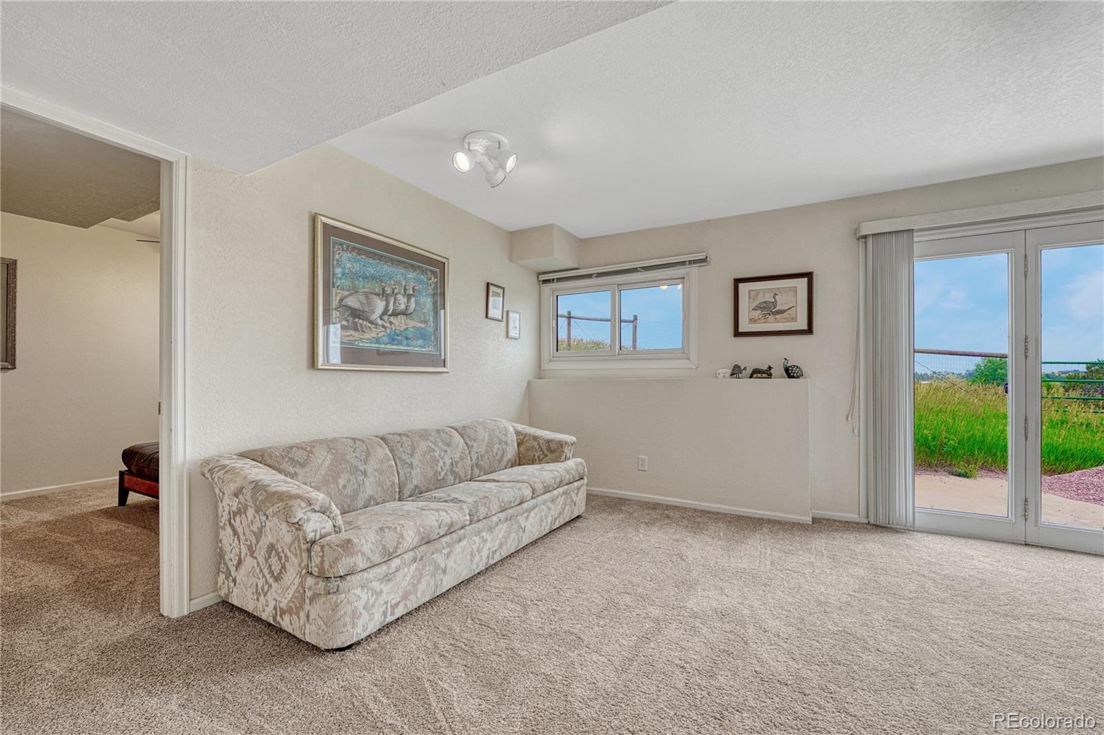 43793 Buckskin Road Parker, CO 80138 - Photo 35 of 50 a living room with furniture and a couch