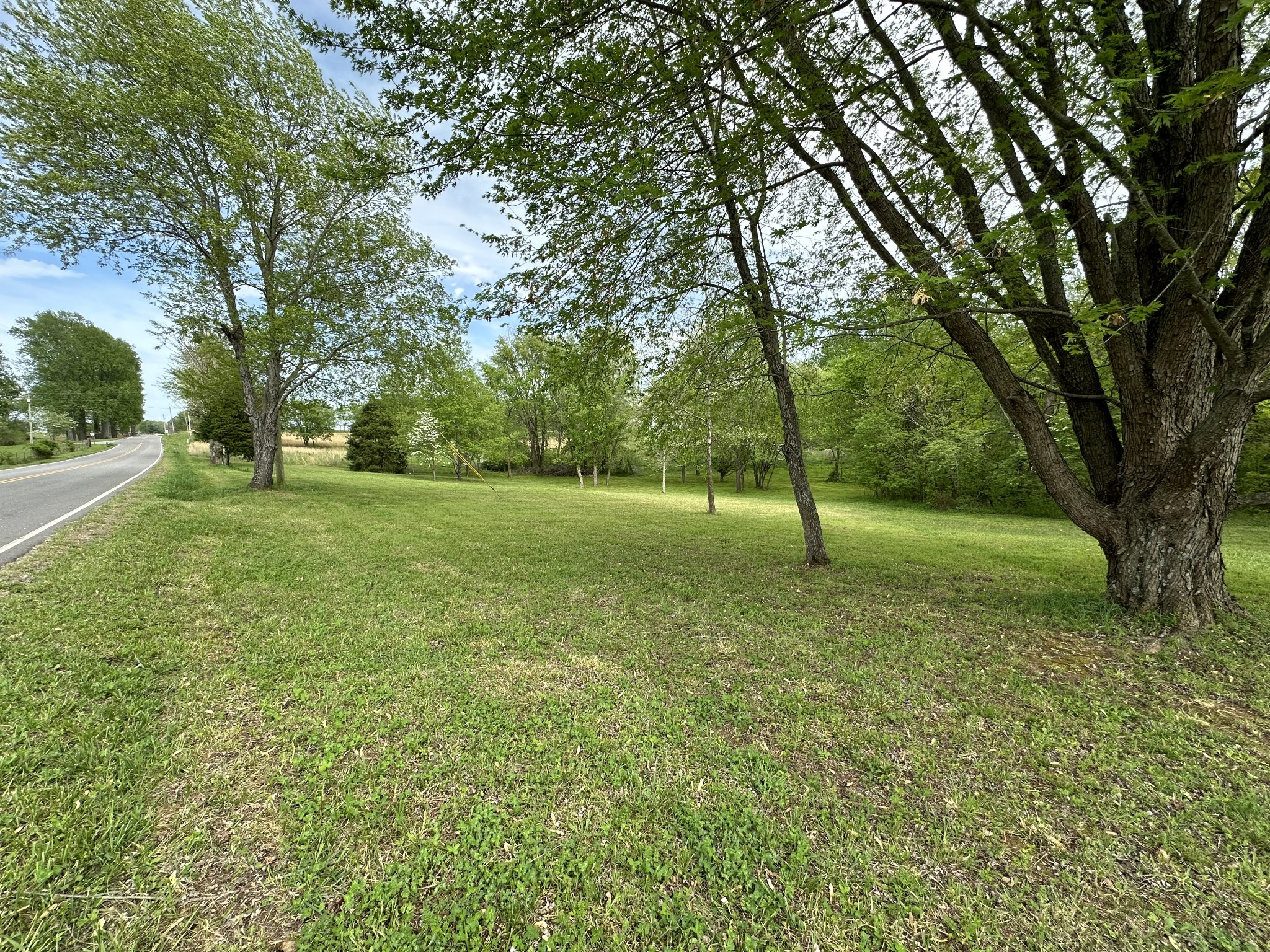 6395 Roy Pearson Road Springfield, TN 37172 - Photo 12 of 13 a view of a field with a tree