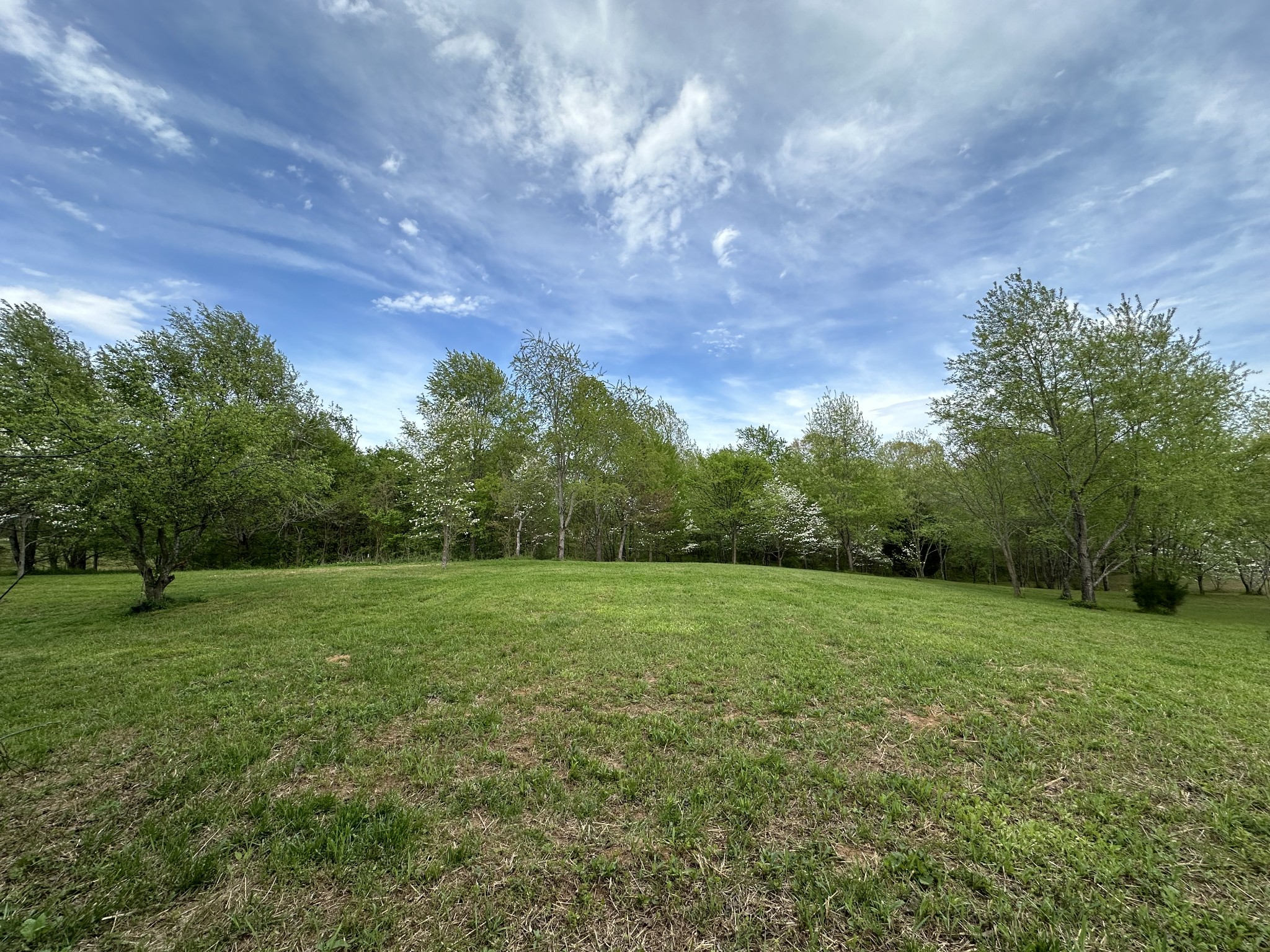 6395 Roy Pearson Road Springfield, TN 37172 - Photo 3 of 13 a view of outdoor space with deck and yard