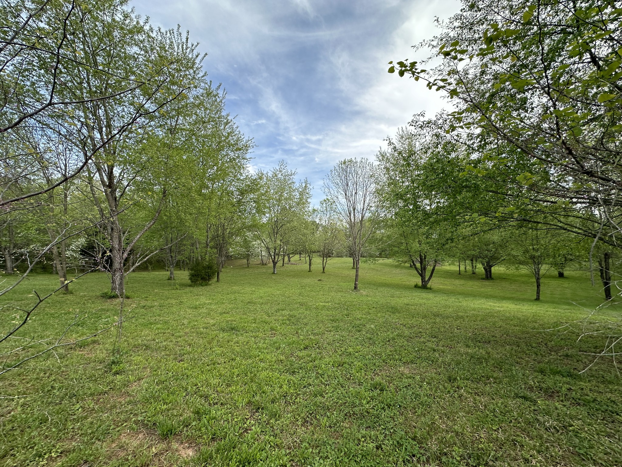 6395 Roy Pearson Road Springfield, TN 37172 - Photo 4 of 13 a view of a big yard