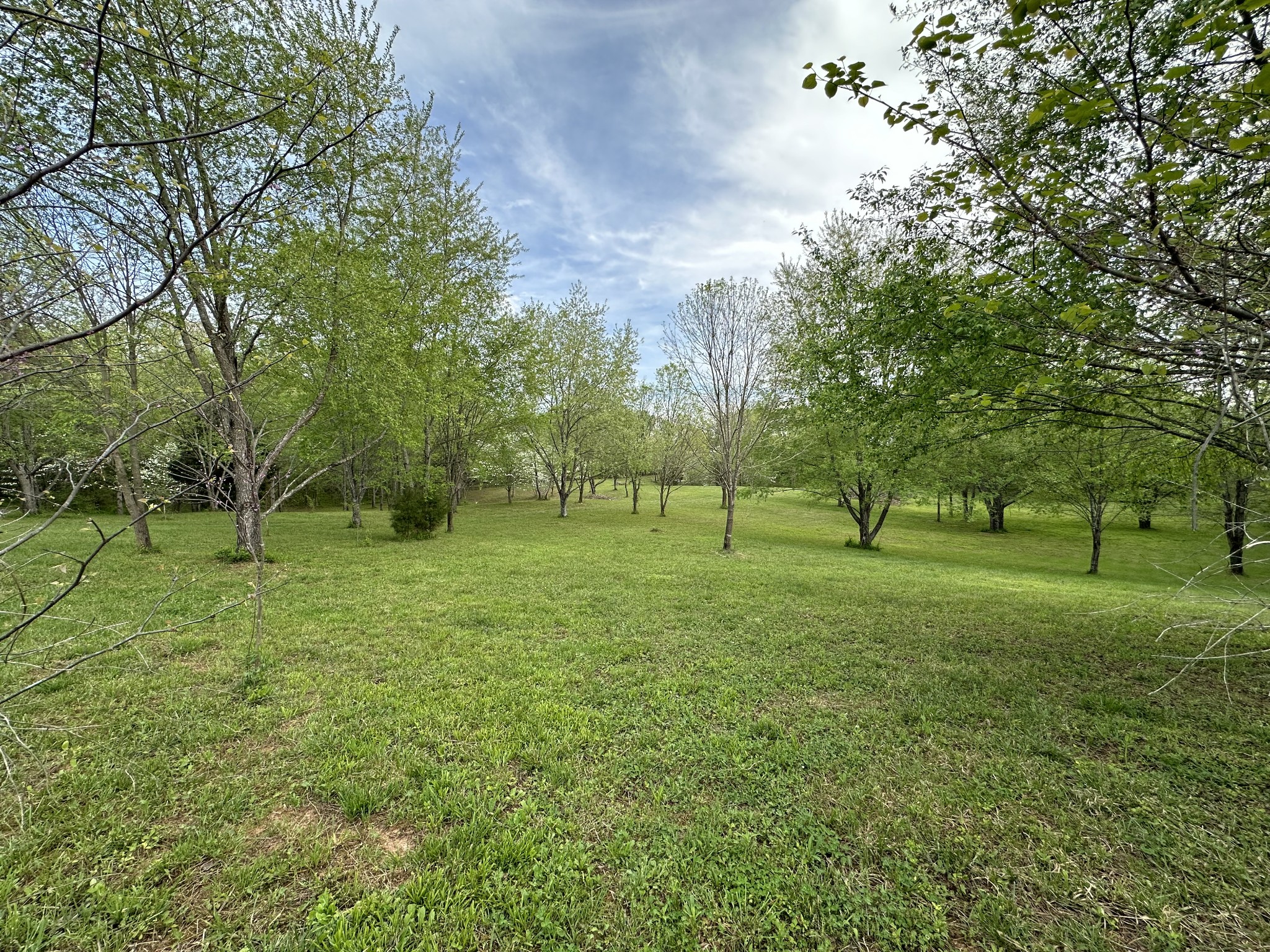 6395 Roy Pearson Road Springfield, TN 37172 - Photo 5 of 13 a view of a park