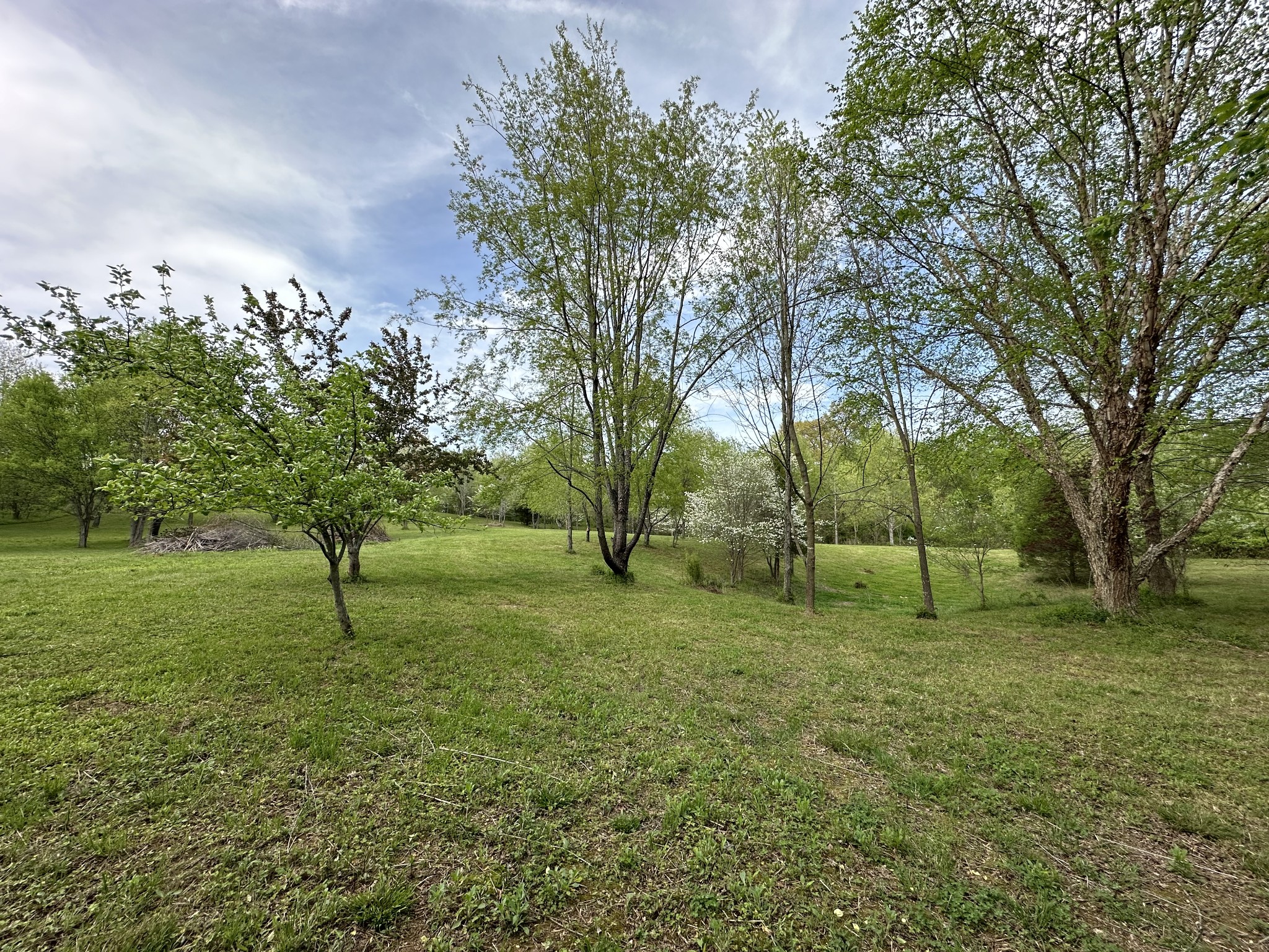 6395 Roy Pearson Road Springfield, TN 37172 - Photo 6 of 13 a view of a field with tree s