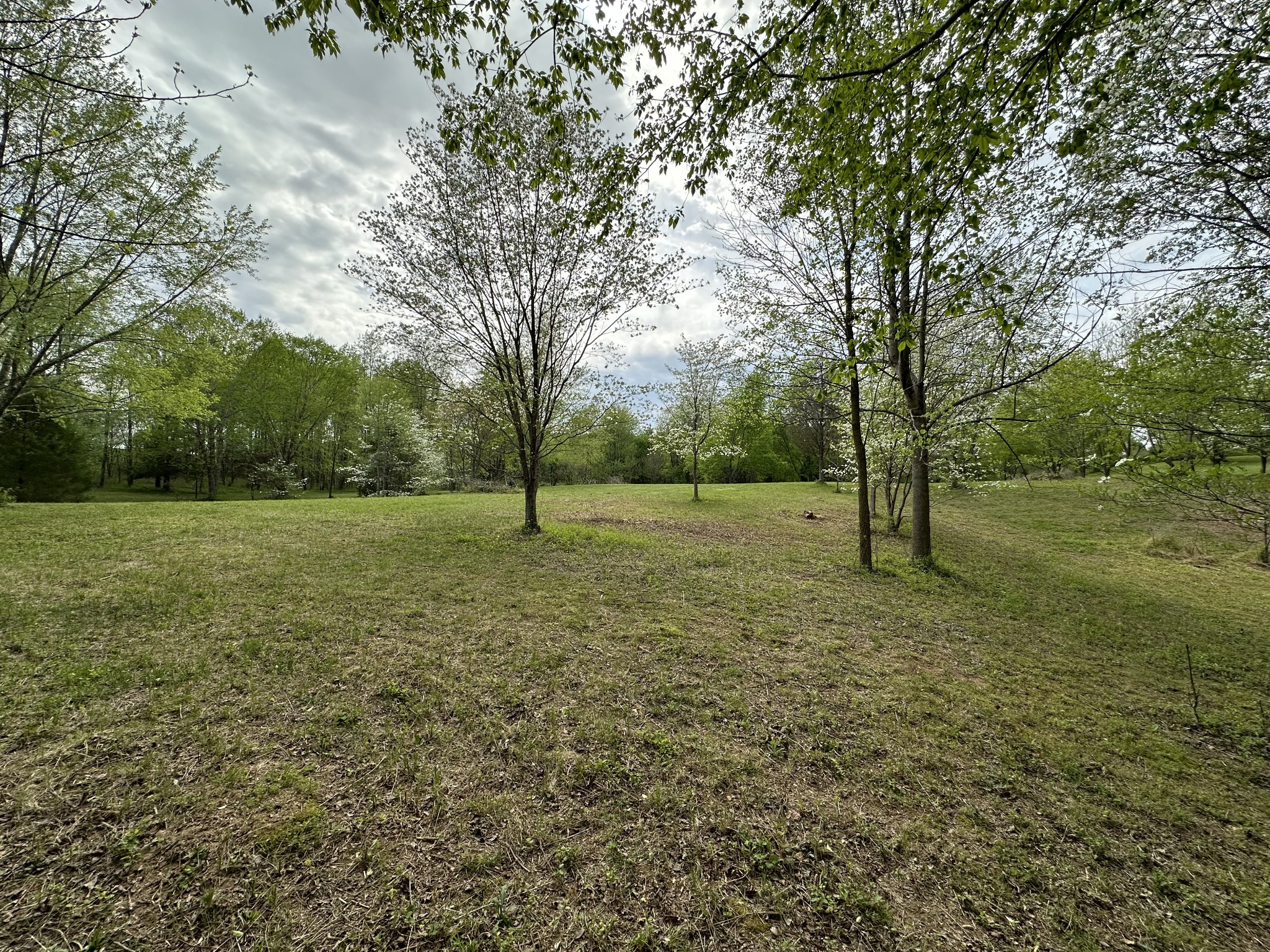 6395 Roy Pearson Road Springfield, TN 37172 - Photo 9 of 13 a view of a field with trees