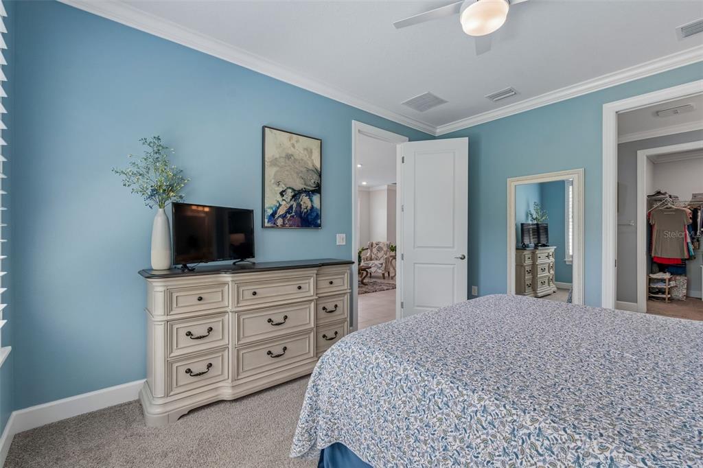 4534 Garofalo Road Wesley Chapel, FL 33543 - Photo 12 of 100 Gallery Image 12