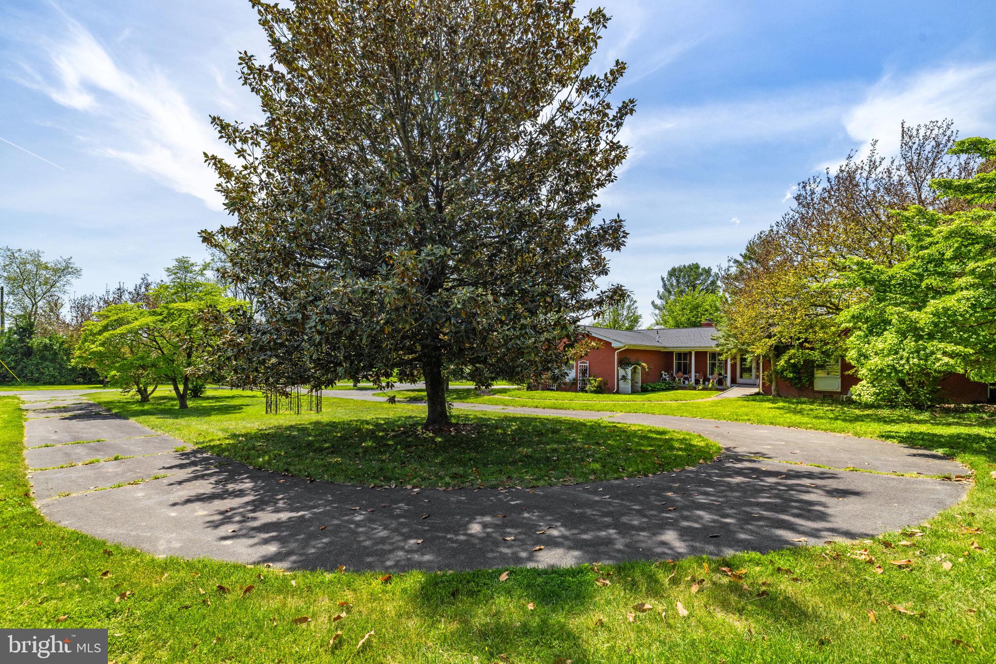 3934 Rectortown Road Marshall, VA 20115 - Photo 11 of 59 Beautiful magnolia tree with circular driveway