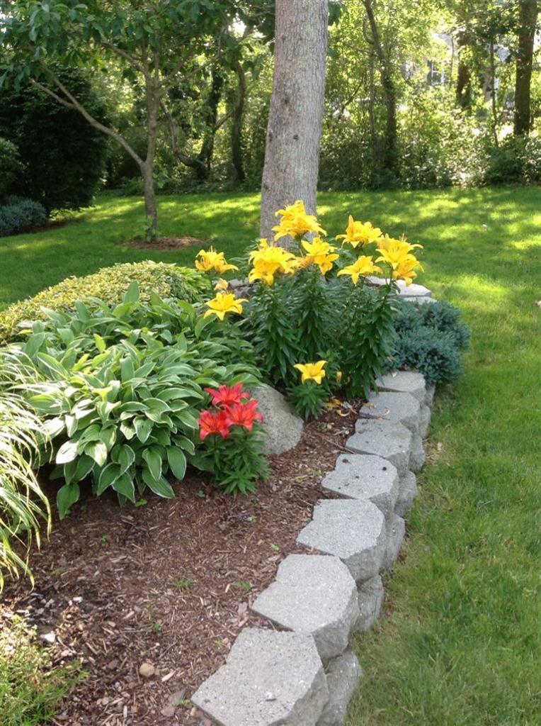 56 Windsor Road Sandwich, MA 02563 - Photo 8 of 9 Additional Photo