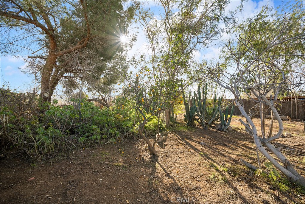 9106 Kennedy Street Riverside, CA 92509 - Photo 17 of 24 a view of a forest filled with trees