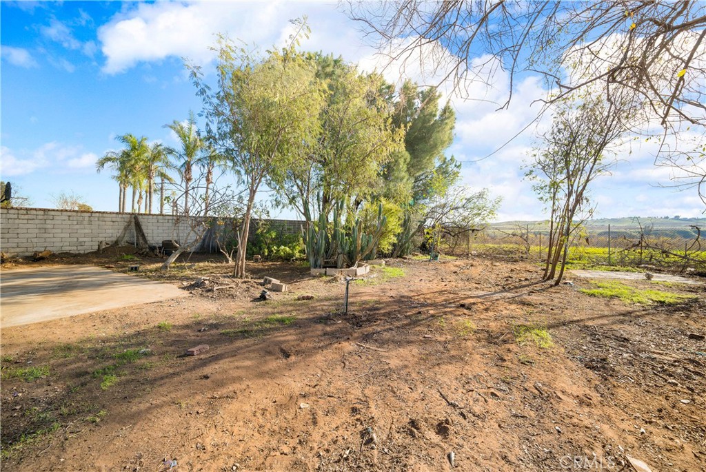 9106 Kennedy Street Riverside, CA 92509 - Photo 19 of 24 a view of a yard with a tree