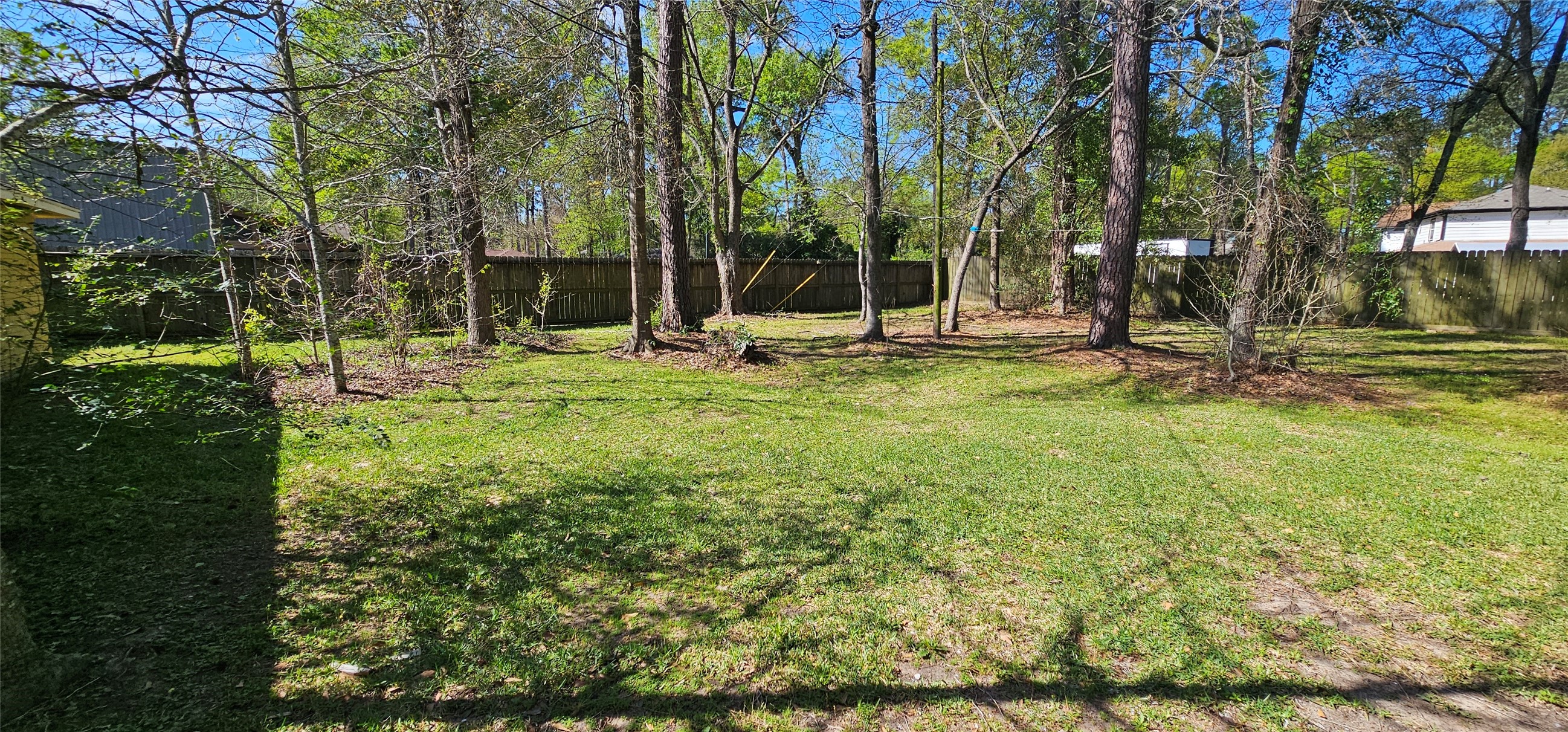 26311 Maplewood Drive Spring, TX 77386 - Photo 19 of 23 a view of a park with large trees
