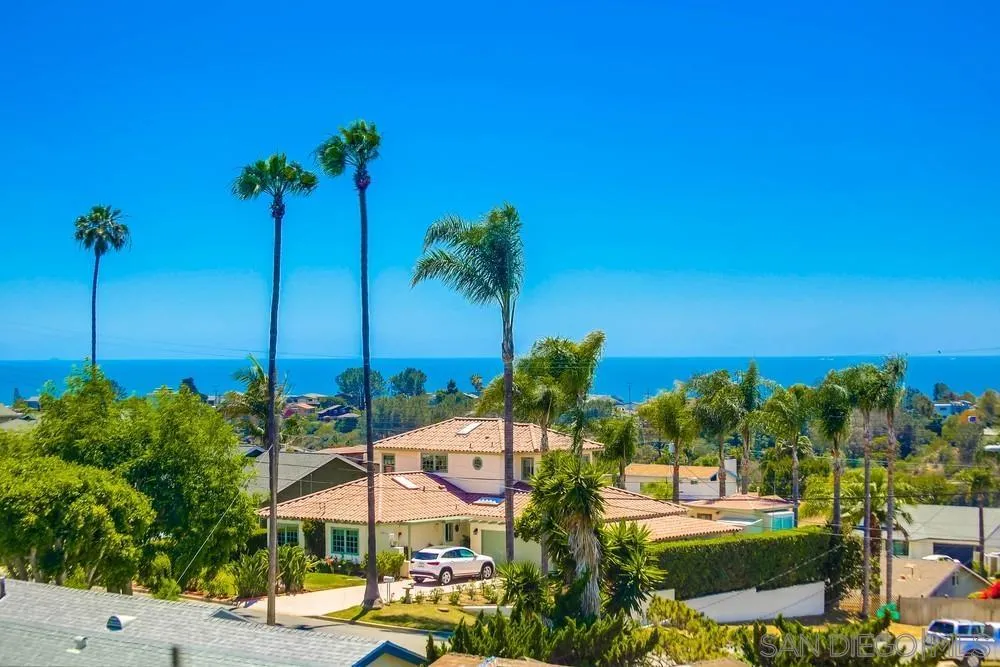 1604 Legaye Drive Cardiff, CA 92007 - Photo 3 of 42 a view of a city with palm trees